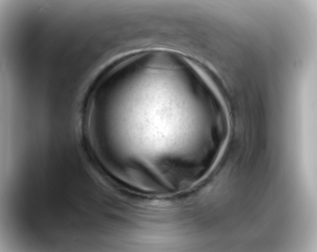 X0000088451503200706051257