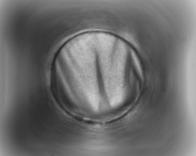 X0000088451504200706051257