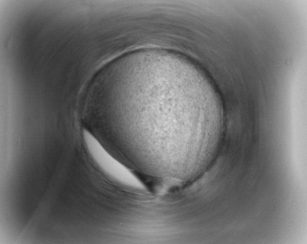 X0000088451505200706051257