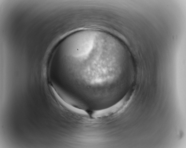 X0000088451506200706051257