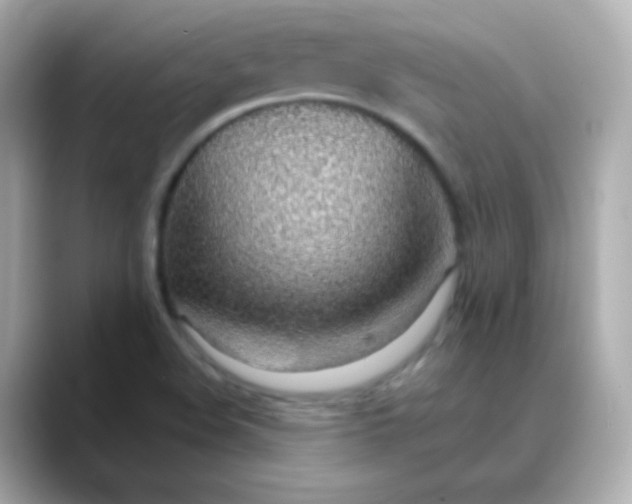 X0000088451508200706051257