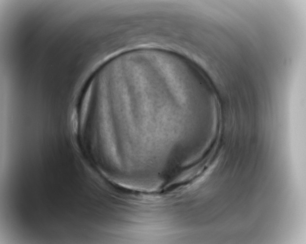 X0000088451509200706051257