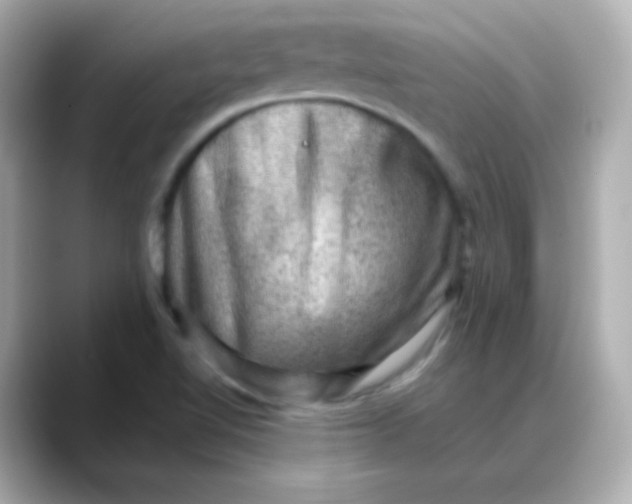 X0000088451510200706051257