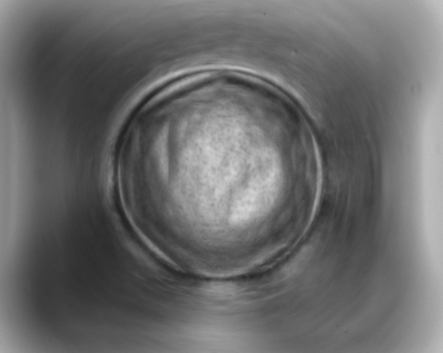 X0000088451511200706051257