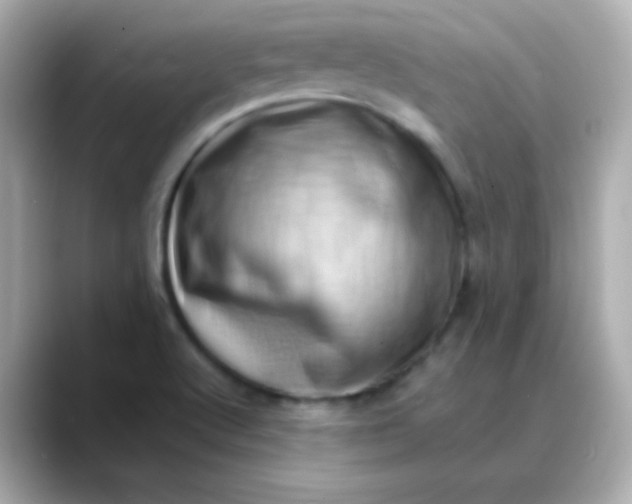 X0000088451512200706051257