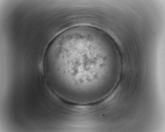 X0000088451513200706051257