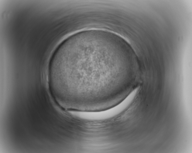 X0000088451515200706051257