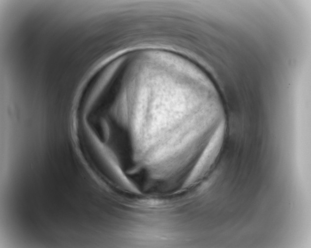 X0000088451517200706051257
