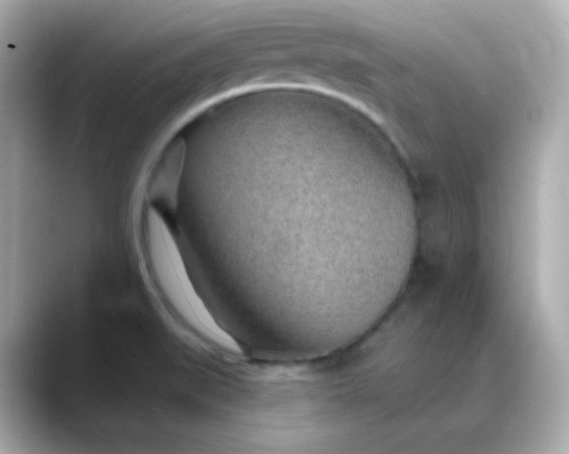 X0000088451519200706051257