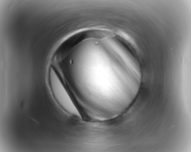 X0000088451520200706051257