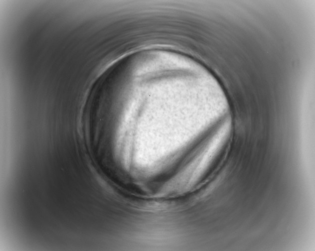 X0000088451521200706051257