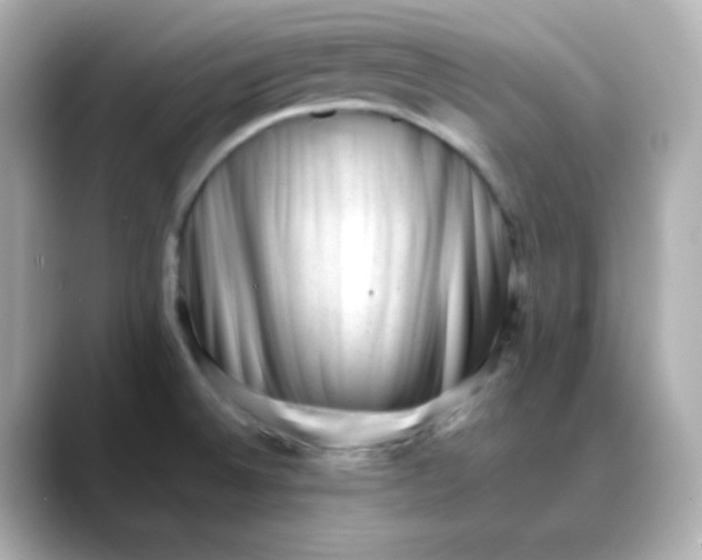 X0000088451524200706051257