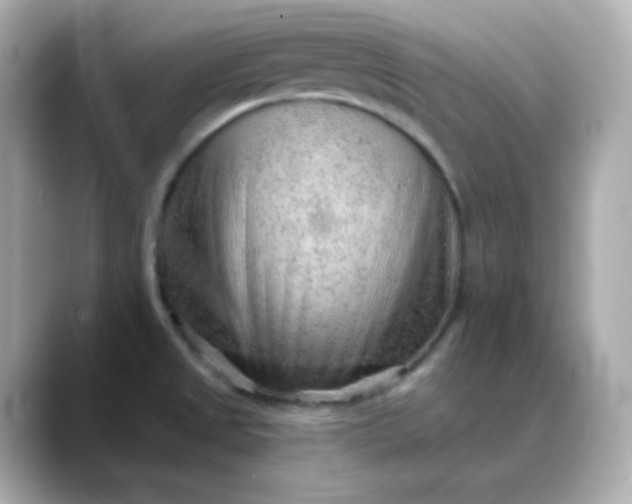 X0000088451525200706051257