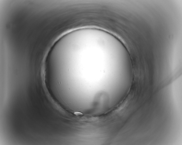 X0000088451526200706051257