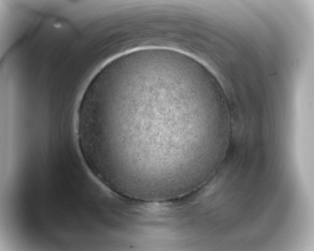X0000088451527200706051257