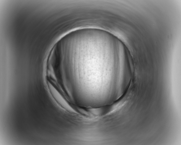 X0000088451528200706051257