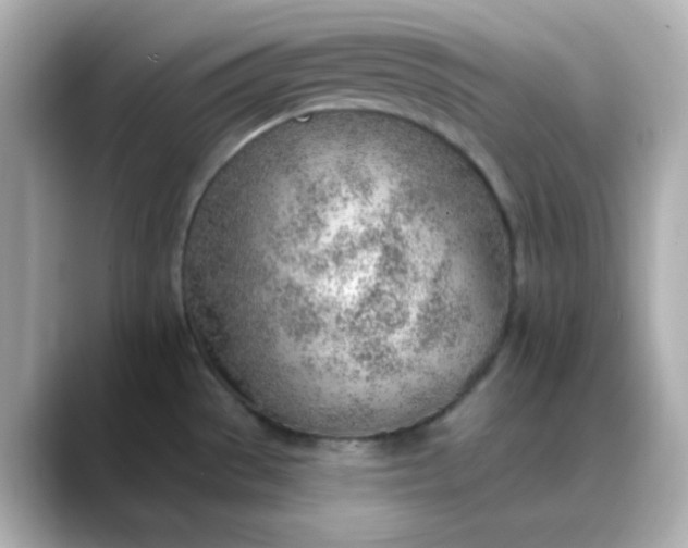 X0000088451529200706051257