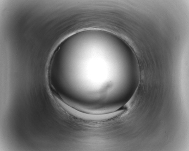 X0000088451530200706051257