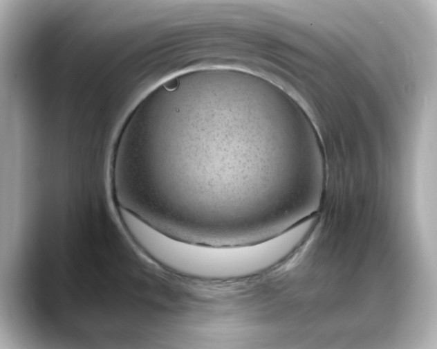 X0000088451533200706051257