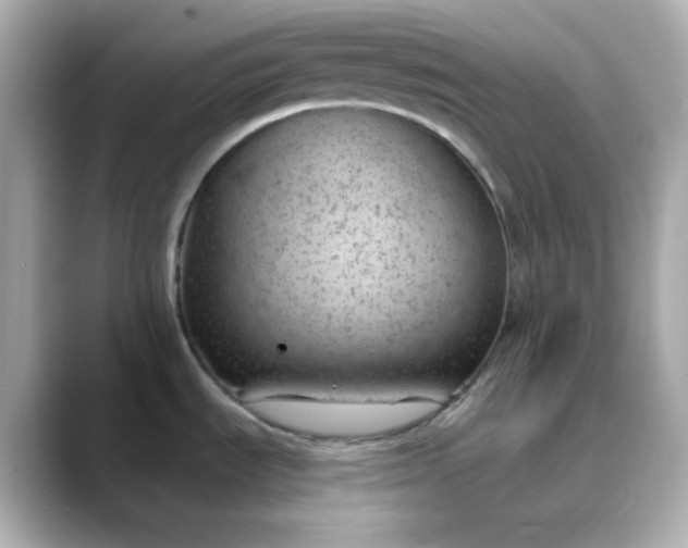 X0000088451535200706051257
