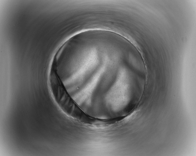 X0000088451536200706051257