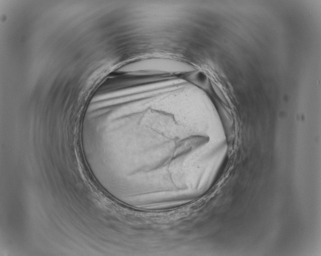 X0000088450001200706121451