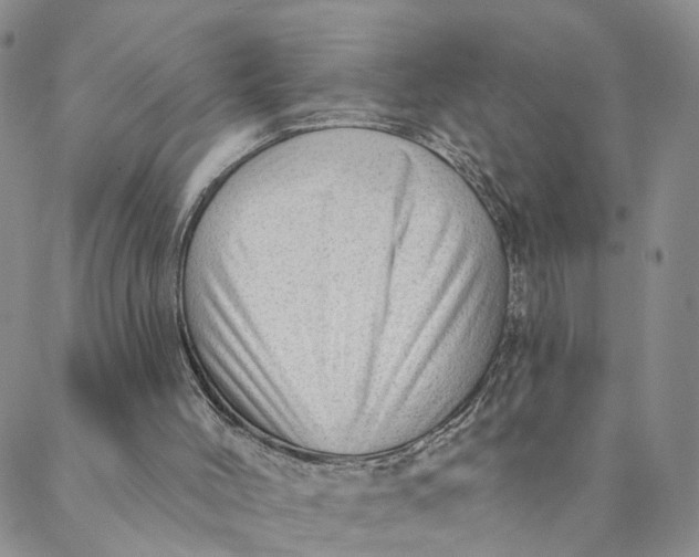 X0000088450004200706121451