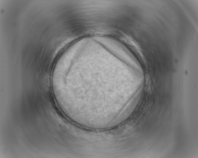 X0000088450012200706121451