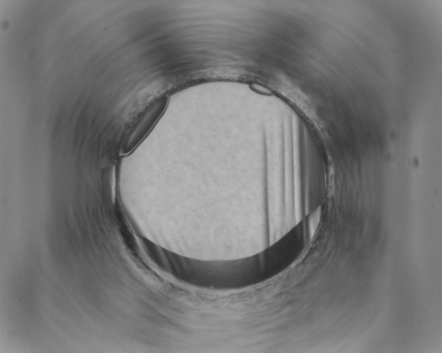 X0000088450013200706121451
