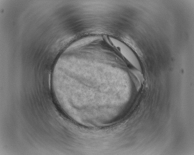 X0000088450014200706121451