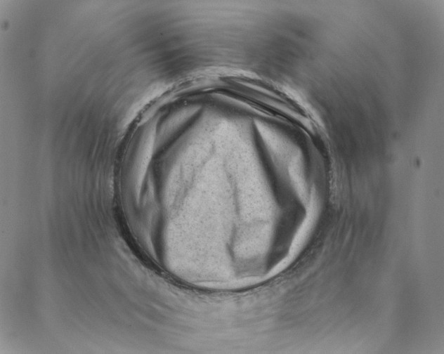 X0000088450015200706121451
