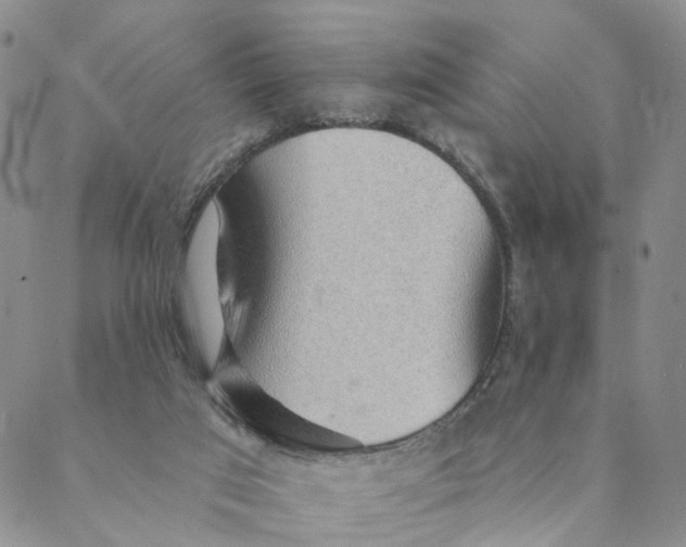 X0000088450017200706121451
