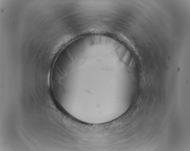 X0000088450019200706121451