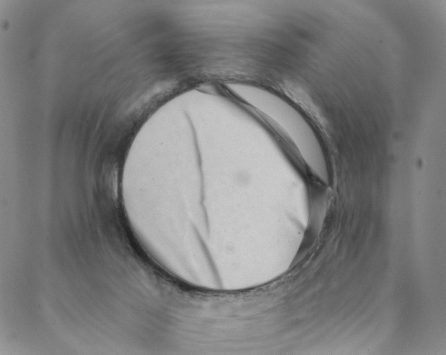 X0000088450021200706121450