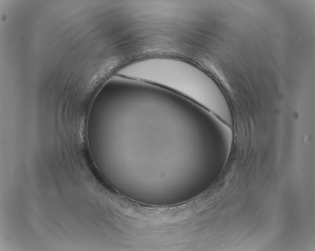 X0000088450023200706121450