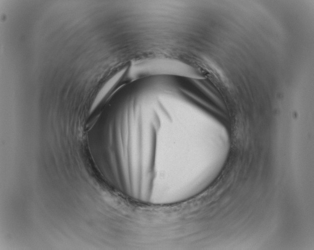 X0000088450025200706121450