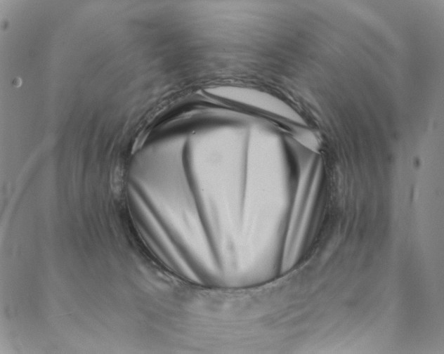 X0000088450033200706121450