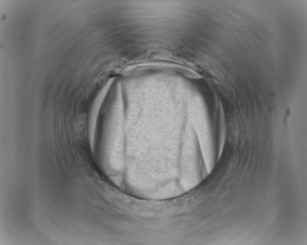 X0000088450034200706121450
