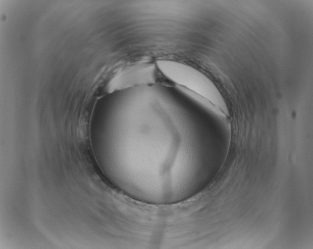 X0000088450035200706121450