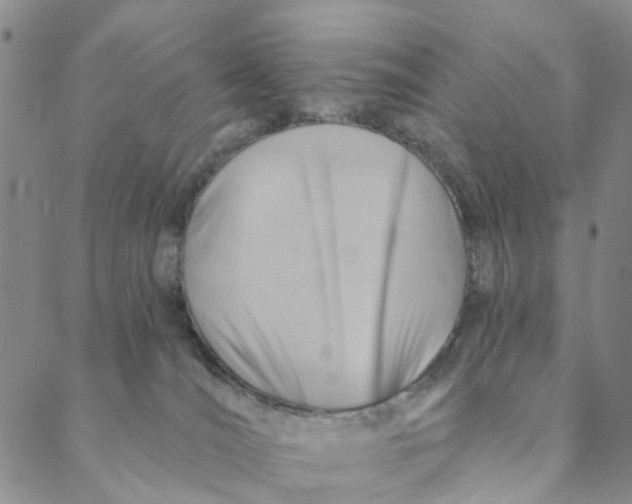 X0000088450036200706121450