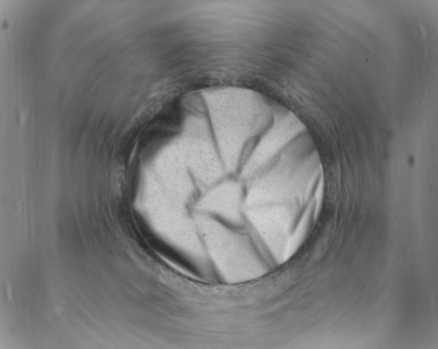 X0000088450038200706121450