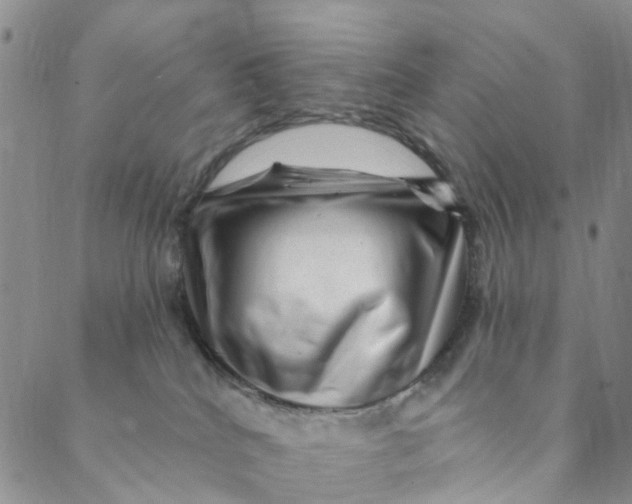X0000088450040200706121450