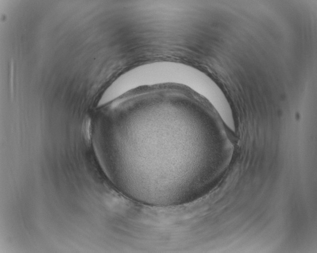 X0000088450041200706121450