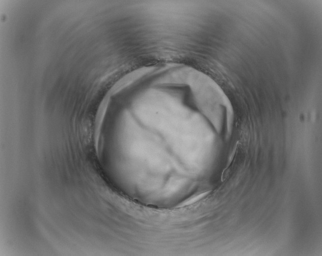 X0000088450043200706121450