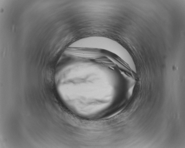 X0000088450044200706121450