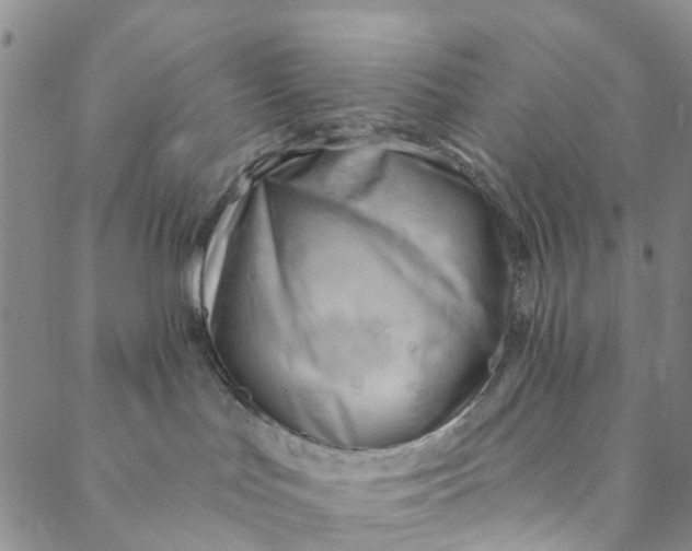 X0000088450047200706121450