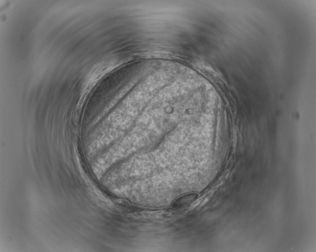 X0000088450049200706121449