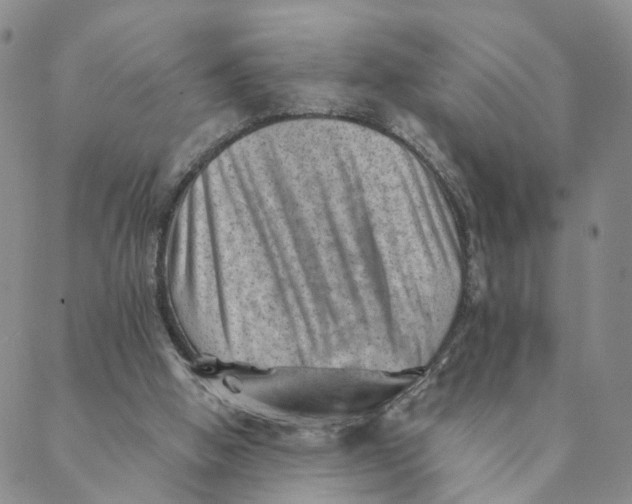 X0000088450058200706121449