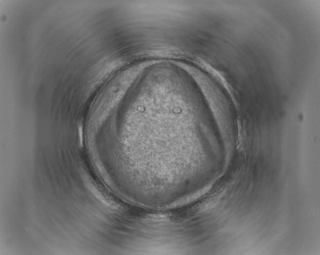 X0000088450061200706121449