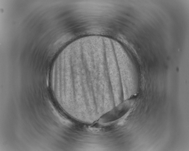 X0000088450062200706121449
